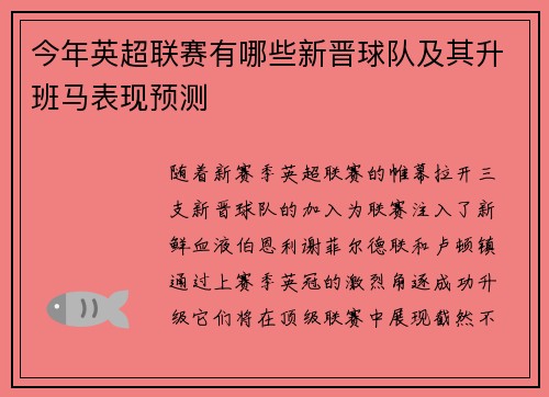 今年英超联赛有哪些新晋球队及其升班马表现预测