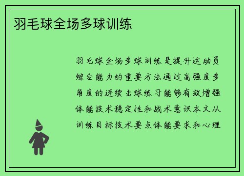 羽毛球全场多球训练